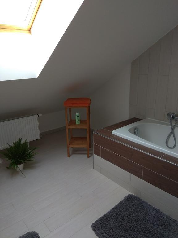 Apartmany Pod Lesem Bohutín エクステリア 写真