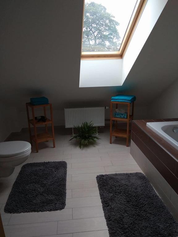 Apartmany Pod Lesem Bohutín エクステリア 写真